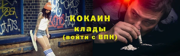 гашик Богданович