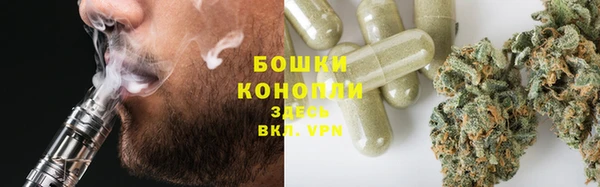 гашик Богданович