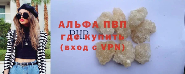 spice Богородск