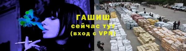 гашик Богданович