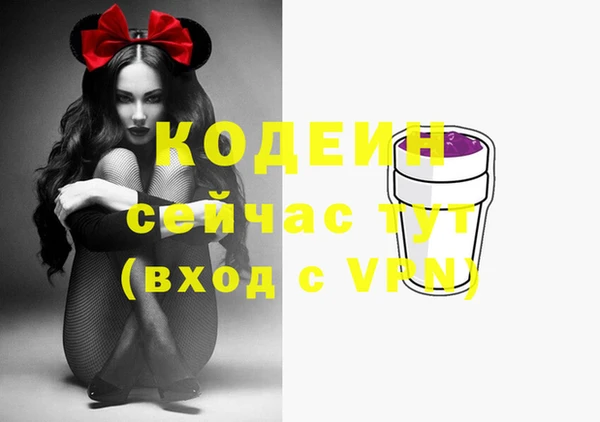 spice Богородск