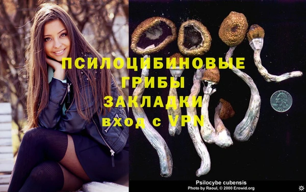 гашик Богданович