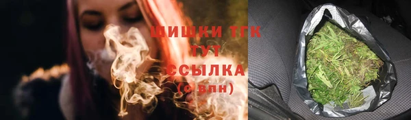 spice Богородск