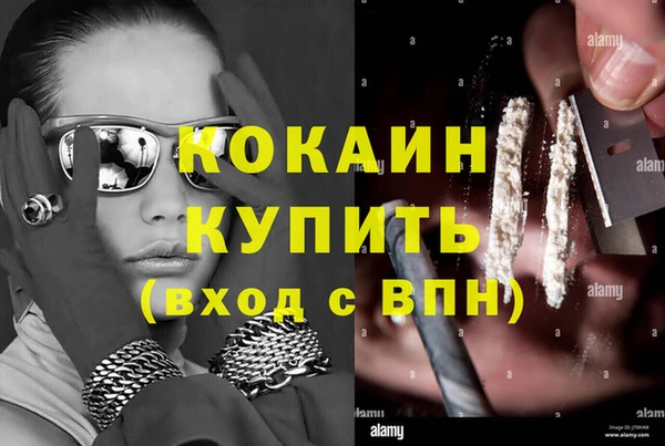 гашик Богданович