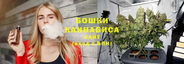 spice Богородск