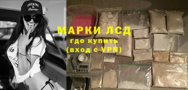 гашик Богданович