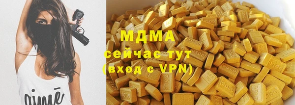 гашик Богданович