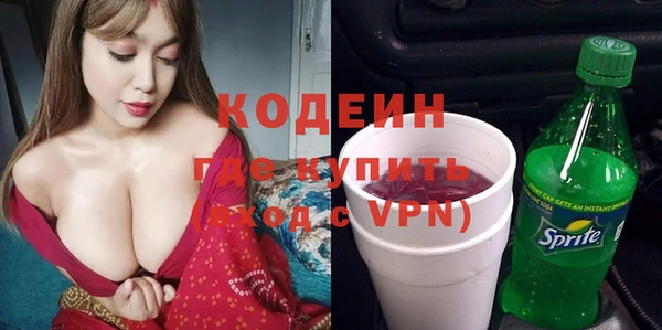 spice Богородск
